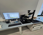 image-20241205173718-2